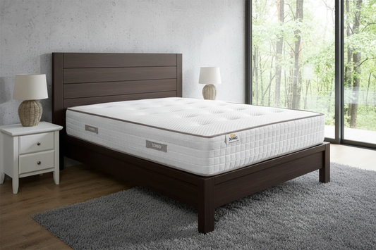 OneThird Encapsulation 1000 Mattress