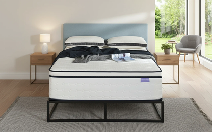 OneThird 2000 Pocket Memory Pillow Top Mattress