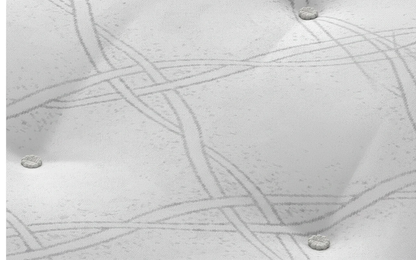 OneThird Ortho Plus Mattress