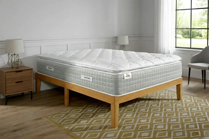 OneThird Memory PillowTop 1000 Mattress