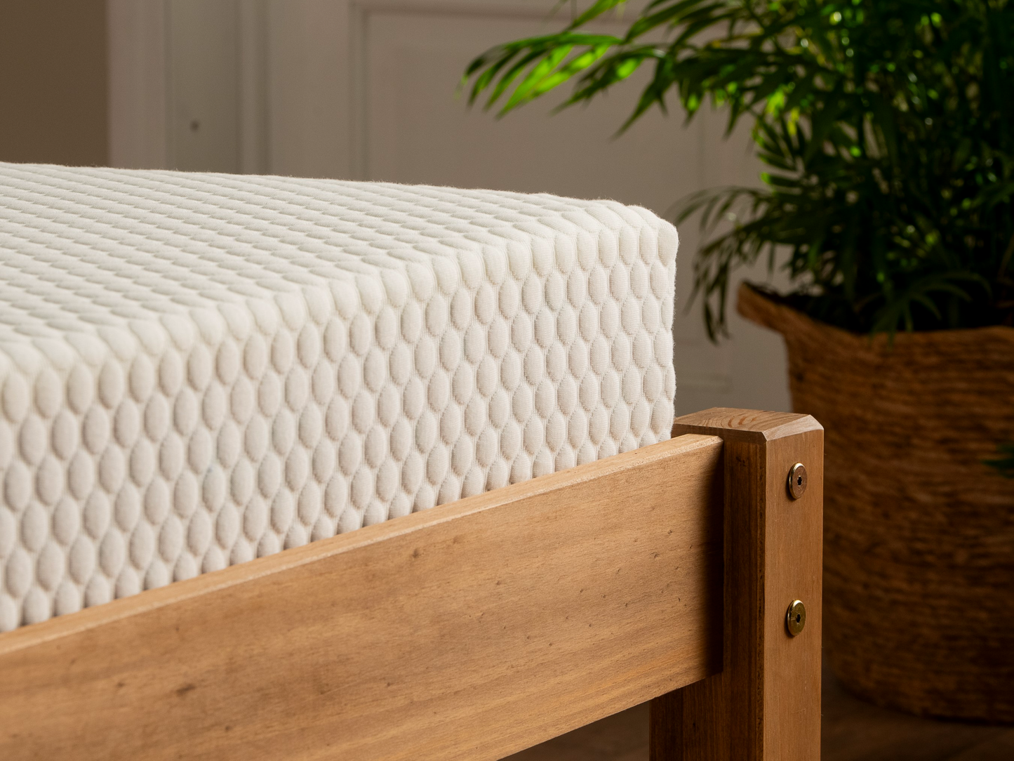 Essentials Memory Ortho Ecofoam Mattress